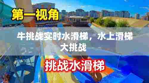 牛挑战实时水滑梯，水上滑梯大挑战 