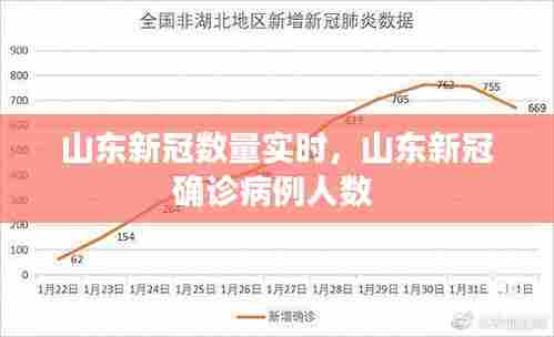 山东新冠数量实时，山东新冠确诊病例人数 