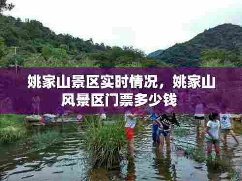 姚家山景区实时情况，姚家山风景区门票多少钱 