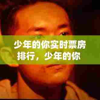 少年的你实时票房排行，少年的你 票房 