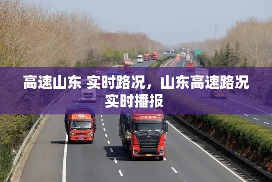 高速山东 实时路况，山东高速路况实时播报 
