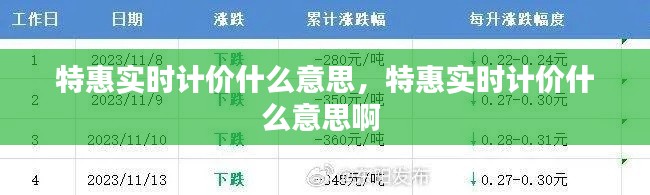 特惠实时计价什么意思，特惠实时计价什么意思啊 
