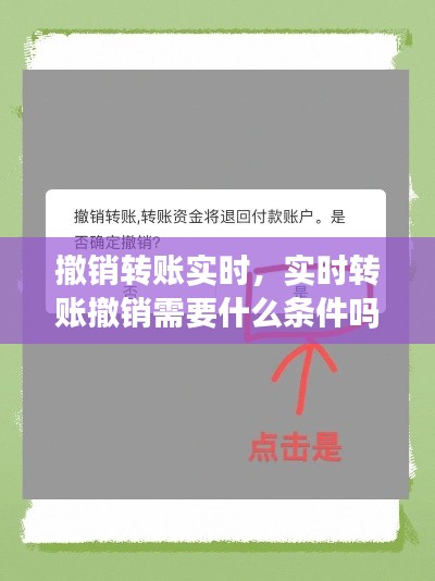 撤销转账实时，实时转账撤销需要什么条件吗 