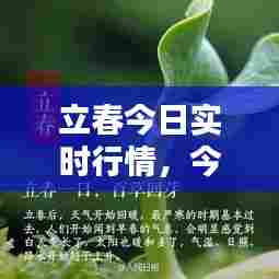 立春今日实时行情，今日立春时刻 