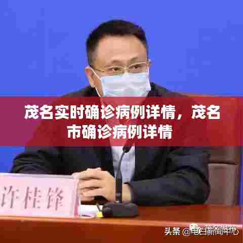 茂名实时确诊病例详情，茂名市确诊病例详情 