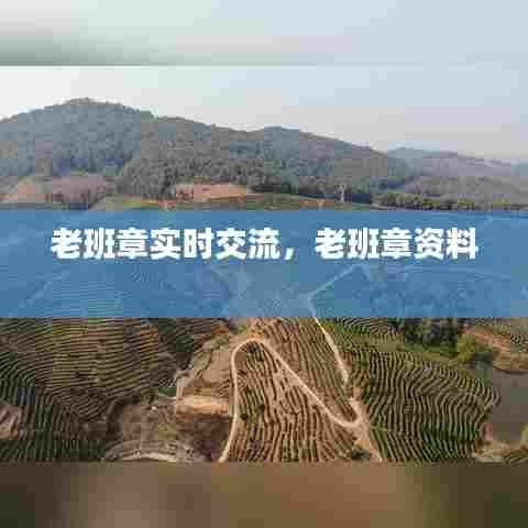 老班章实时交流，老班章资料 