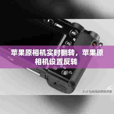苹果原相机实时翻转，苹果原相机设置反转 