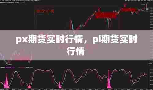 px期货实时行情，pi期货实时行情 