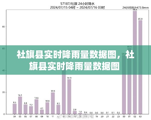社旗县实时降雨量数据图，社旗县实时降雨量数据图 