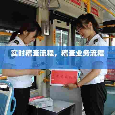 实时稽查流程，稽查业务流程 