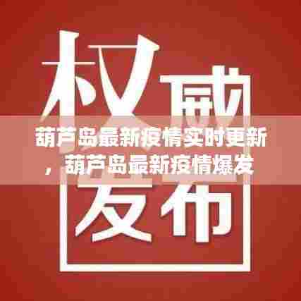 葫芦岛最新疫情实时更新，葫芦岛最新疫情爆发 