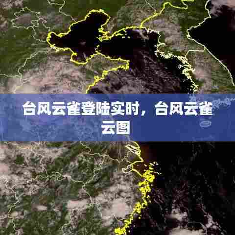台风云雀登陆实时，台风云雀云图 