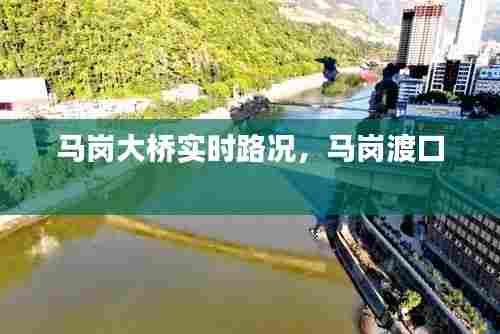 马岗大桥实时路况，马岗渡口 