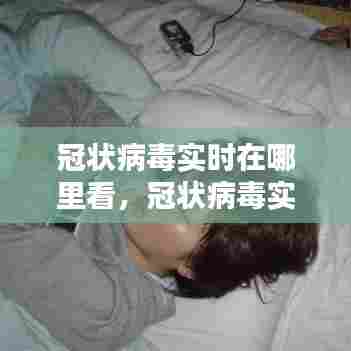 冠状病毒实时在哪里看，冠状病毒实时数据更新 