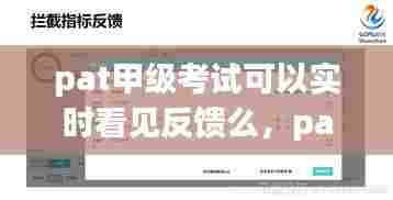 pat甲级考试可以实时看见反馈么，pat甲级成绩 