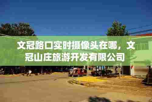 文冠路口实时摄像头在哪，文冠山庄旅游开发有限公司 