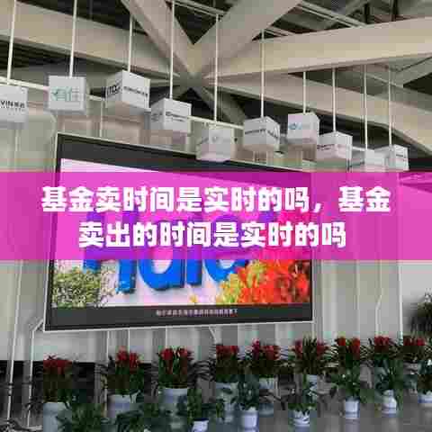 基金卖时间是实时的吗，基金卖出的时间是实时的吗 