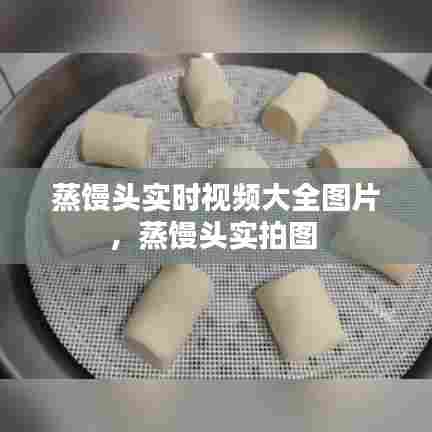 蒸馒头实时视频大全图片，蒸馒头实拍图 
