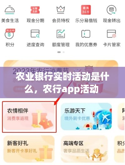 农业银行实时活动是什么，农行app活动 