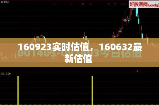 160923实时估值，160632最新估值 