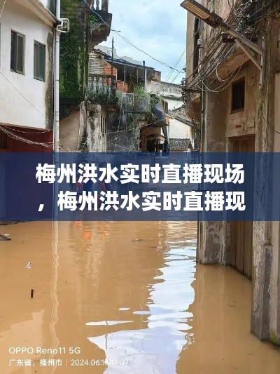 梅州洪水实时直播现场，梅州洪水实时直播现场回放 
