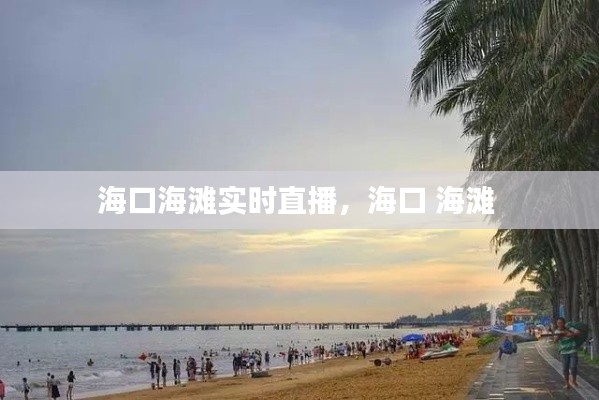 海口海滩实时直播，海口 海滩 