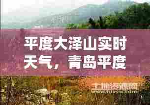 平度大泽山实时天气，青岛平度大泽山天气 