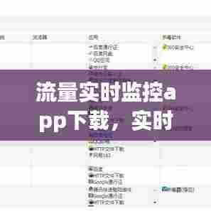 流量实时监控app下载，实时网络流量监控 