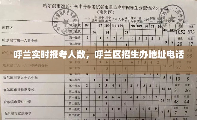 呼兰实时报考人数，呼兰区招生办地址电话 