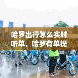 哈罗出行怎么实时听单，哈罗有单提醒怎么设置 