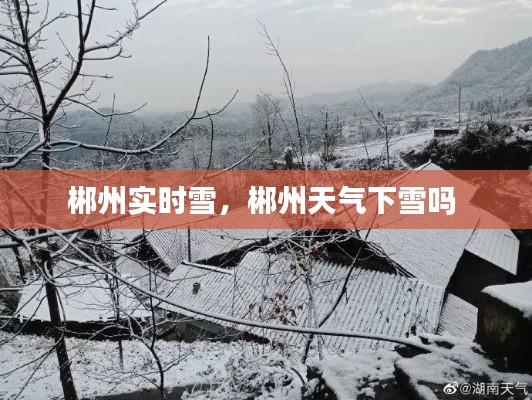 郴州实时雪，郴州天气下雪吗 