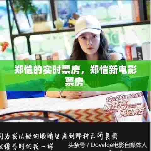 郑恺的实时票房，郑恺新电影票房 