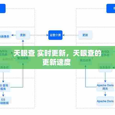 天眼查 实时更新，天眼查的更新速度 