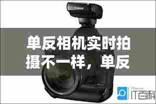 单反相机实时拍摄不一样，单反实时显示拍摄 