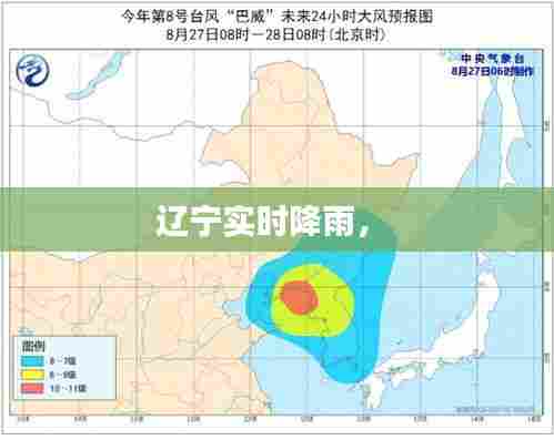 辽宁实时降雨， 