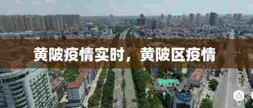 黄陂疫情实时，黄陂区疫情 