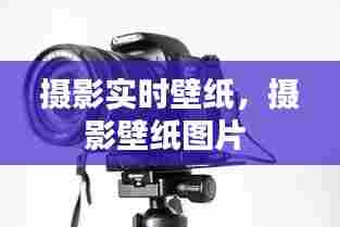 摄影实时壁纸，摄影壁纸图片 
