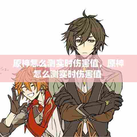 原神怎么测实时伤害值，原神怎么测实时伤害值 