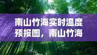 南山竹海实时温度预报图，南山竹海实时温度预报图查询 