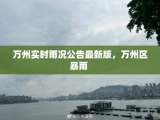 万州实时雨况公告最新版，万州区暴雨 