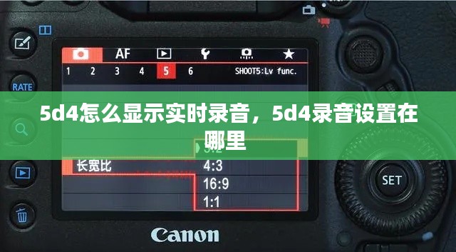 5d4怎么显示实时录音，5d4录音设置在哪里 