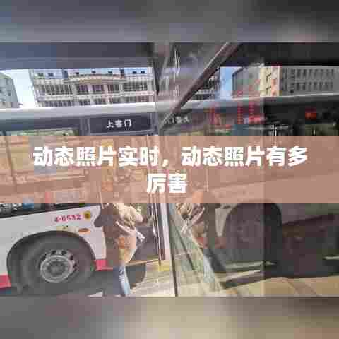 动态照片实时，动态照片有多厉害 