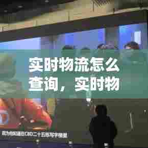 实时物流怎么查询，实时物流信息 