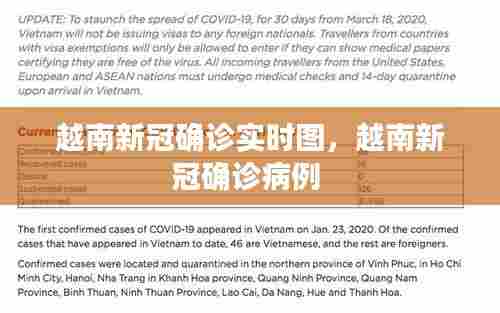 越南新冠确诊实时图，越南新冠确诊病例 