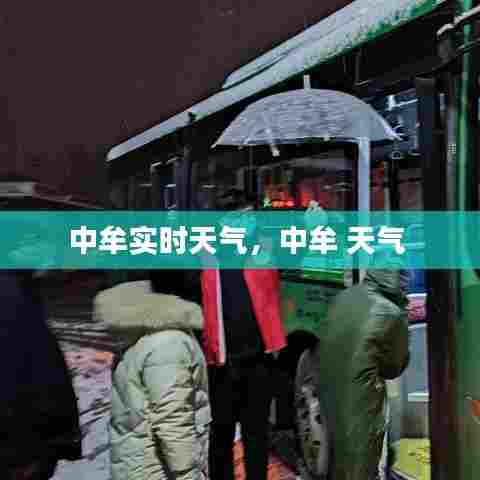 中牟实时天气，中牟 天气 