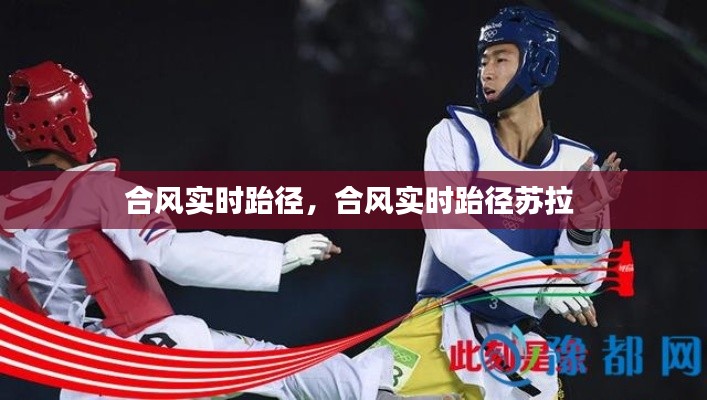 合风实时跆径，合风实时跆径苏拉 