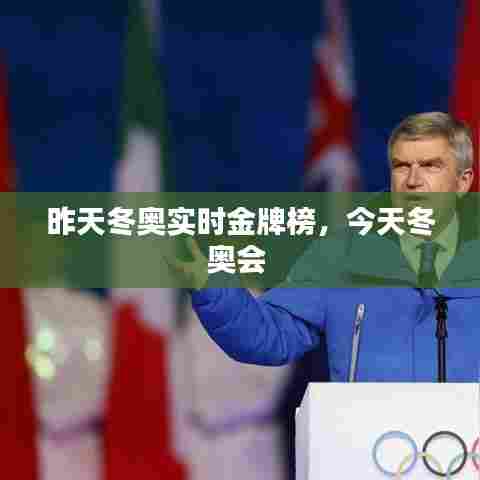 昨天冬奥实时金牌榜，今天冬奥会 