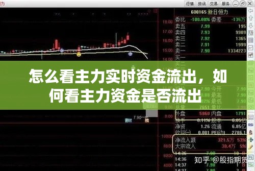 怎么看主力实时资金流出，如何看主力资金是否流出 