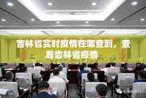 吉林省实时疫情在哪查到，查看吉林省疫情 