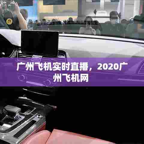 广州飞机实时直播，2020广州飞机网 